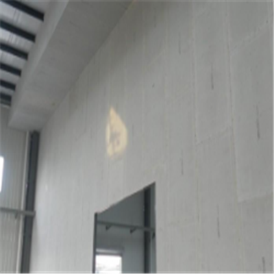 无为宁波ALC板|EPS加气板隔墙与混凝土整浇联接的实验研讨